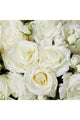Artificial Garden Roses Bouquet, 72-Pieces, Eichholtz Roses, White