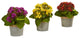 Kalanchoe Artificial Arrangements, 3-Piece Set