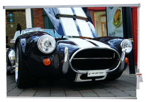 "Cobra" Artwork, 4' Shade, Blackout