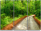 "Pathway in Deep Moss Forest" Metal Wall Art, 3 Panels, 36"x28"