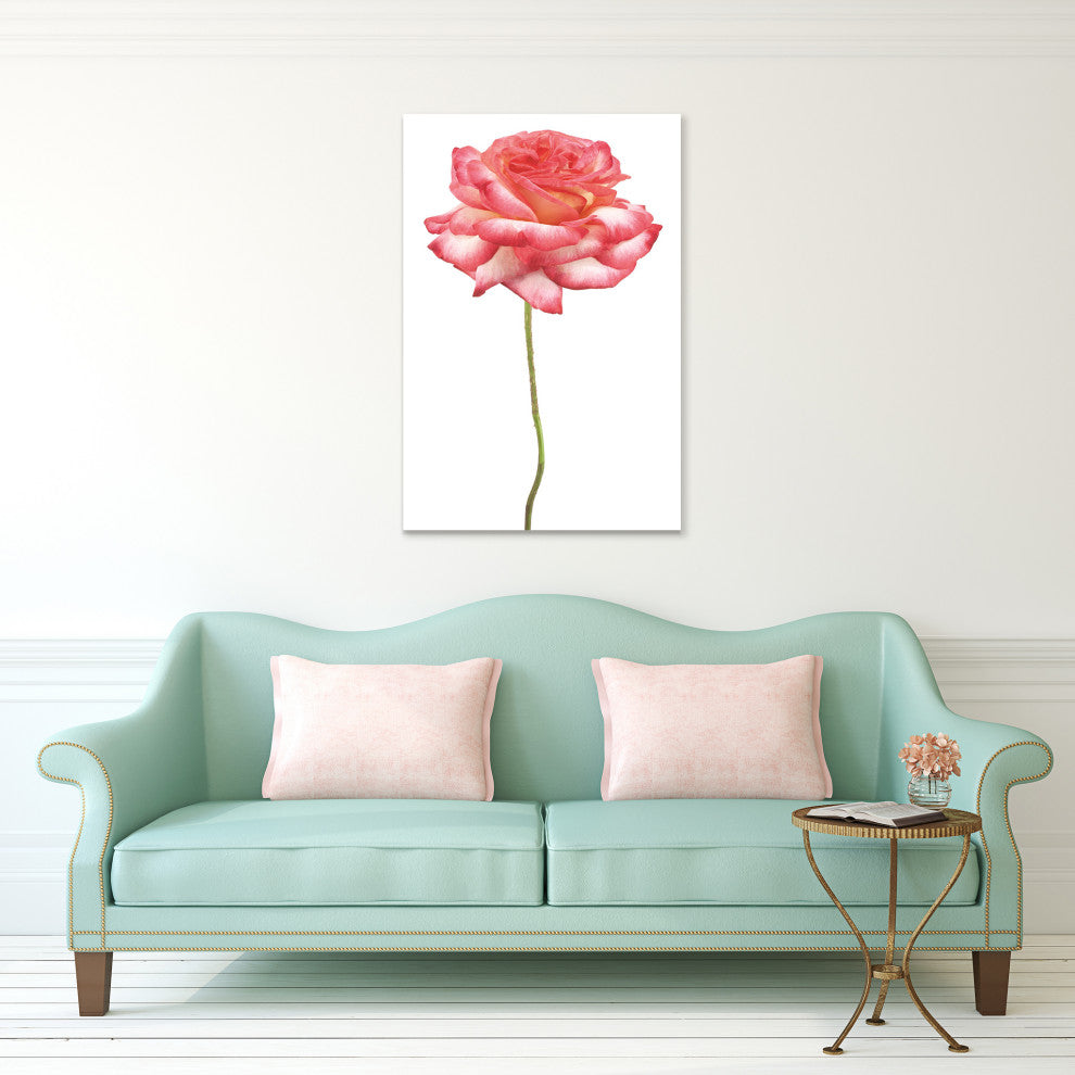 Pink Rose Wall Art Frameless Free Floating Tempered Art Glass, 32"x 48"