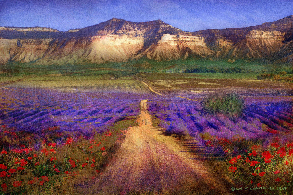 "Bountiful Valley" Painting Print on Canvas by Chris Vest