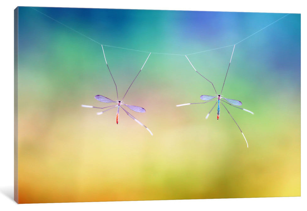 "Hanging Together" by Donald Jusa, 18x12x1.5