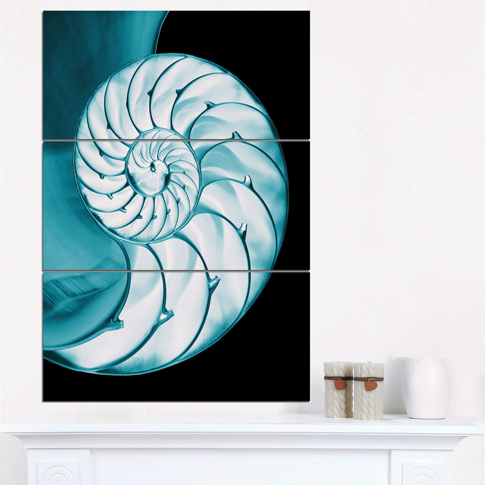 "Chambered Nautilus Shell" Metal Wall Art, 3 Panels, 28"x36"