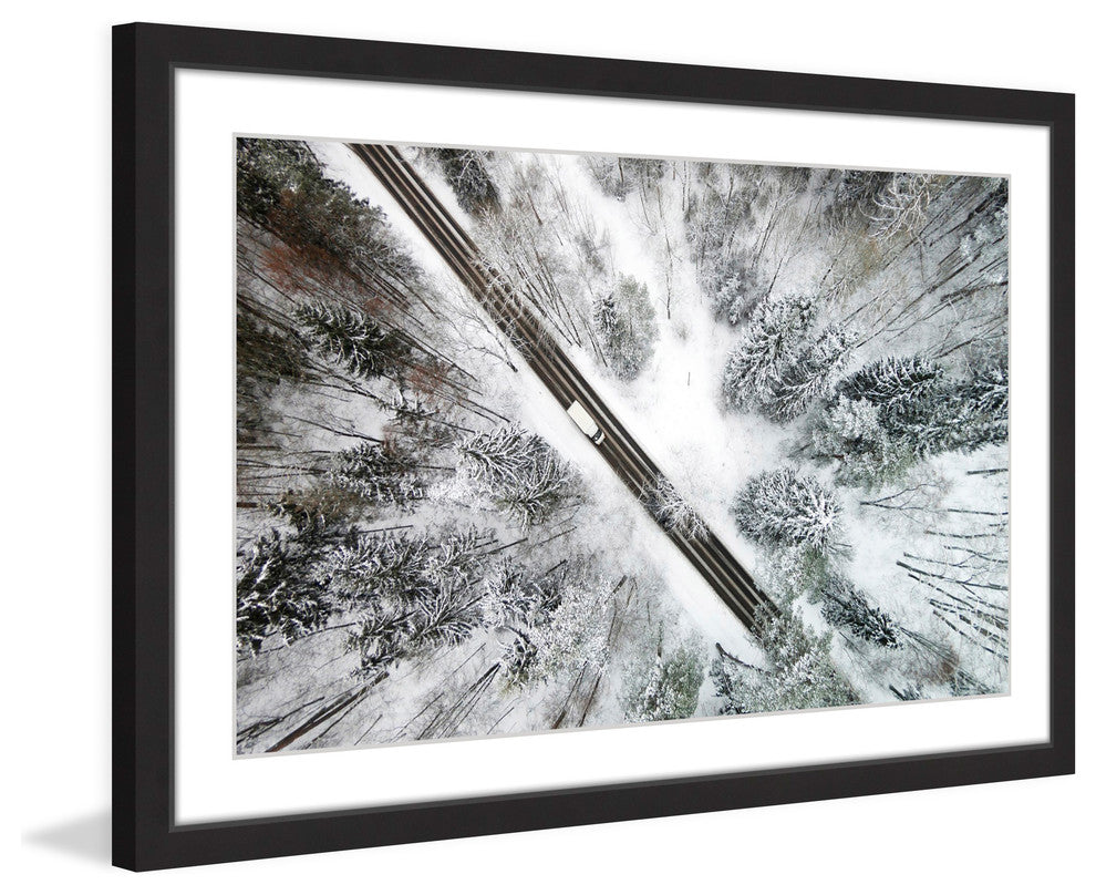 "Icy Forest" Framed Print by Karolis Janulis