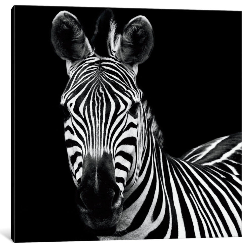 Zebra II by Debra Van Swearingen