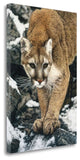 "Silent Approach" By Jan Henderson, Giclee Print on Gallery Wrap Canvas
