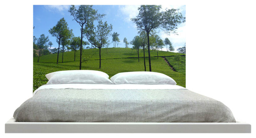 "Beautiful Trees" Headboard