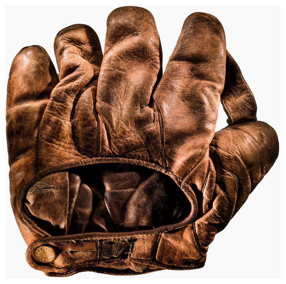 US Army Baseball Glove, Photograph, Unframed, Back View, 27''x35''