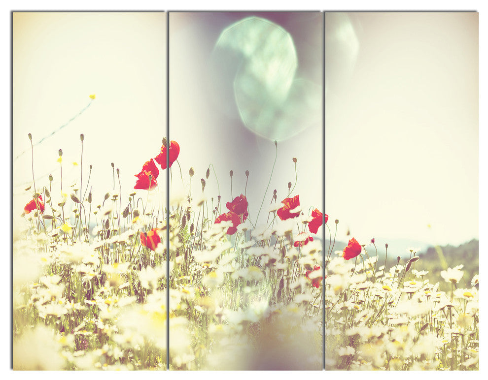 Red and White Poppy Flowers Field, Flower Canvas Art Print, 36x28, 3 Panels