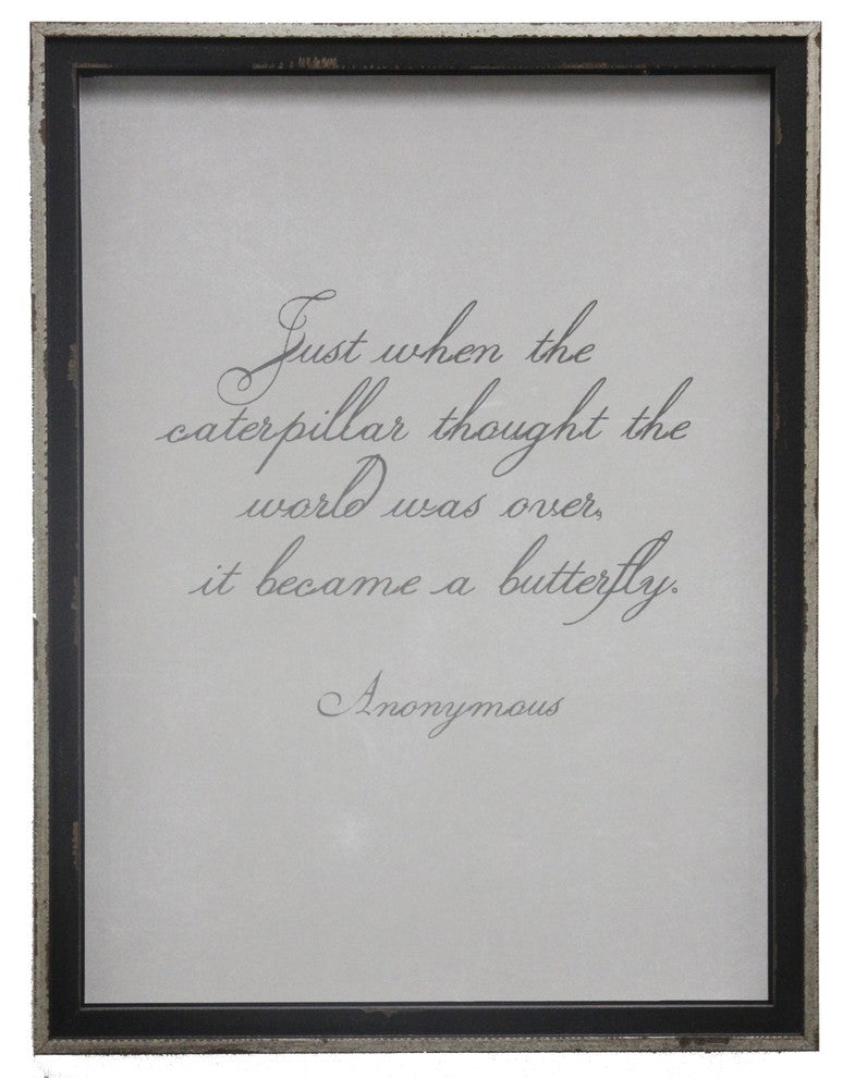 Anonymous Caterpillar Quote, Volutes On Gray Background