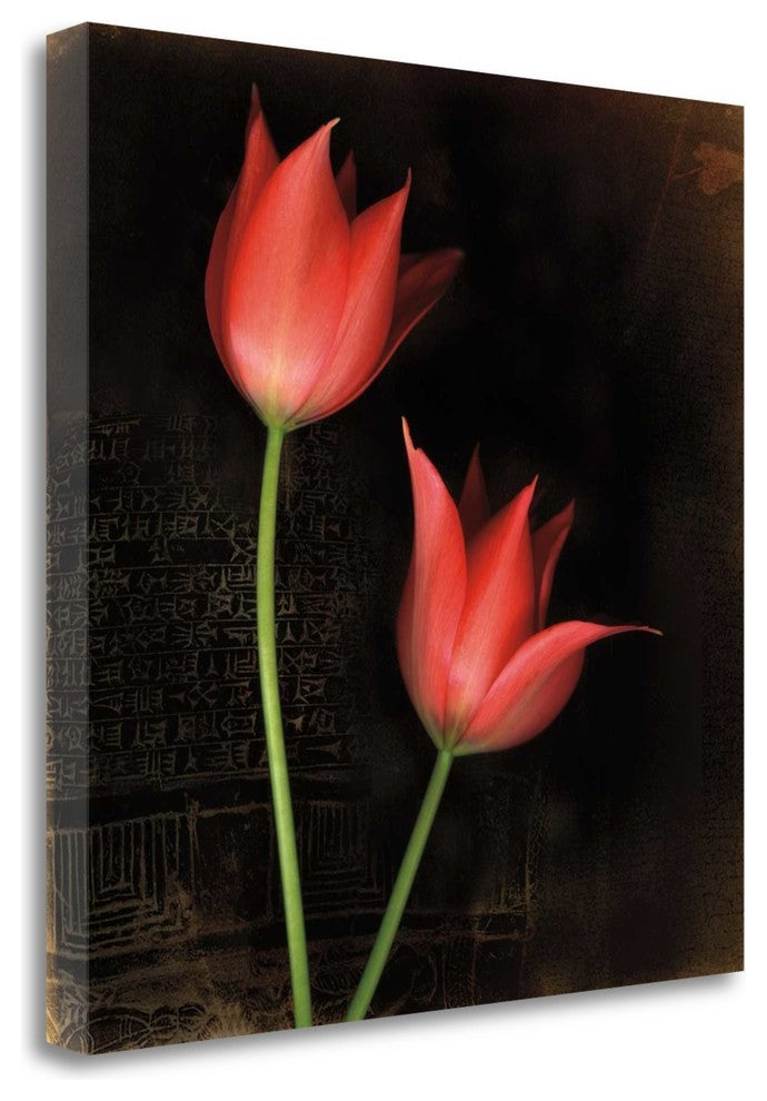 "Species Tulips" By Rick Filler, Giclee Print on Gallery Wrap Canvas