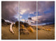"Old Wooden Trunk in the Sunset" Metal Wall Art, 3 Panels, 36"x28"