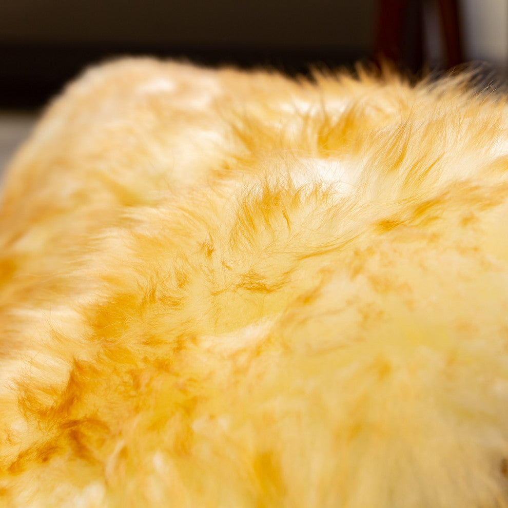 Premium New Zealand Sheepskin Area Rug, Brown Tips, 2' X 3'