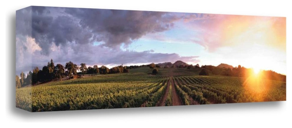 "Gout De Terroir" By Christopher Foster, Giclee Print on Gallery Wrap Canvas