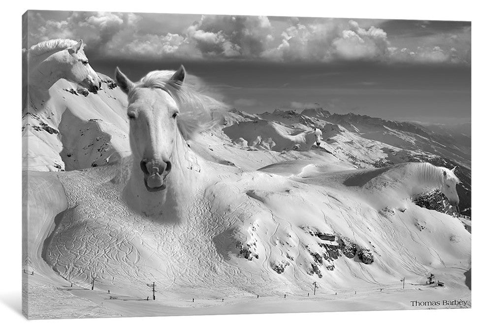 "Icy Studs Gallery" by Thomas Barbey, 18x12x1.5"