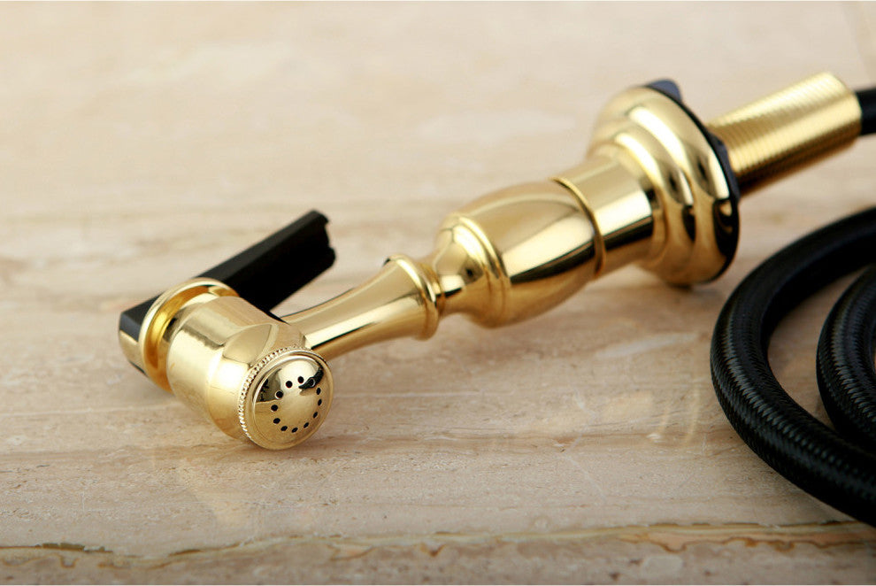 Gourmet Scape Kitchen Faucet Side Sprayer, Polished Brass
