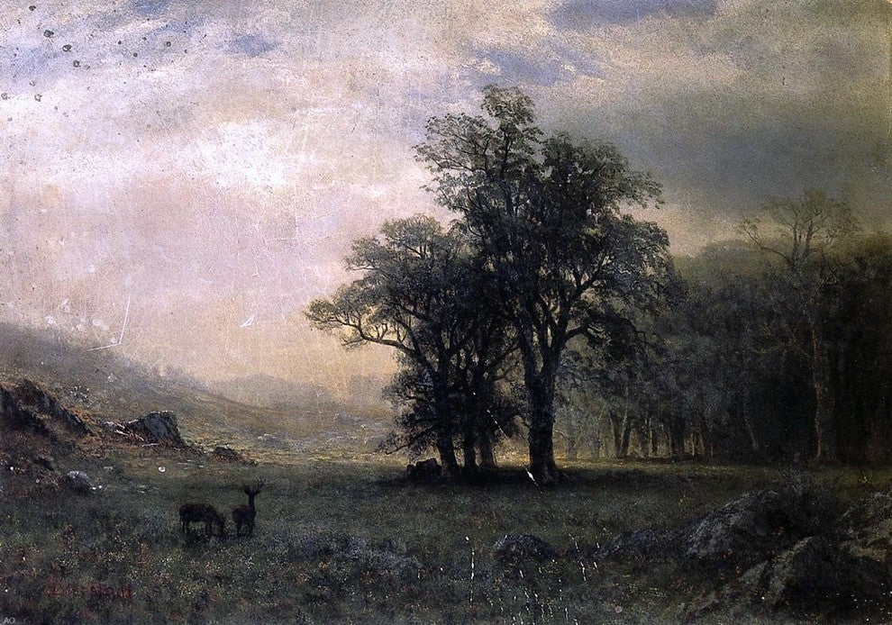 Albert Bierstadt Deer in a Landscape - 18" x 27" Premium Canvas Print