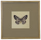 Matted Single Butterfly Print