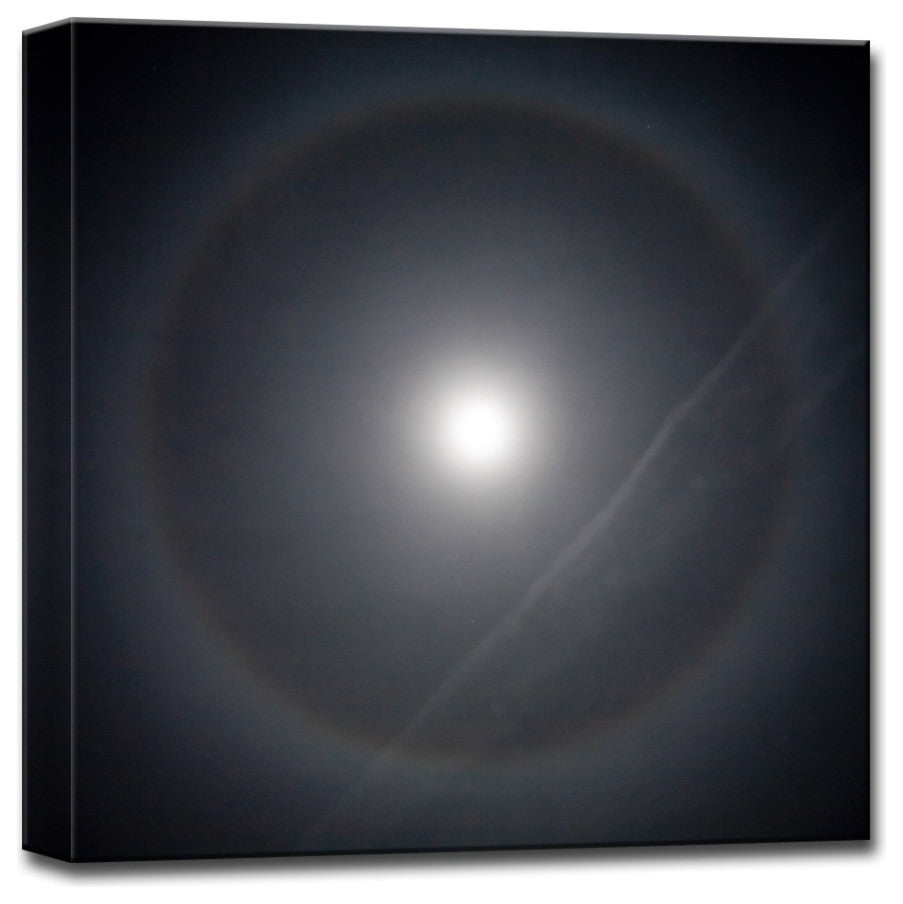 Ready2HangArt 'Moonalo' by Bartlettayes, 16x16