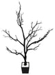 Floor Manzanita Tree Planter, 48"x26"x12", White, Black
