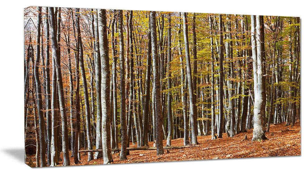 Bright Day in Thick Forest, Modern Forest Canvas Art, 32"x16"