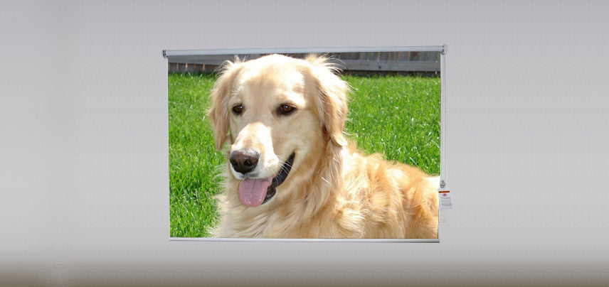 "Golden Retriever" Artwork, 5' Shade, Partial Sheer