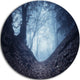 Sunlight Hitting Foggy Forest, Landscape Photo Disc Metal Wall Art, 36"
