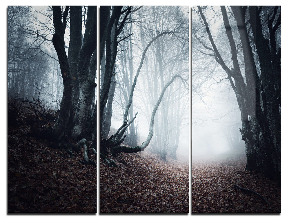 "Mysterious Fairytale Foggy Wood" Photo Metal Wall Art, 3 Panels, 36"x28"