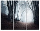 "Mysterious Fairytale Foggy Wood" Photo Metal Wall Art, 3 Panels, 36"x28"