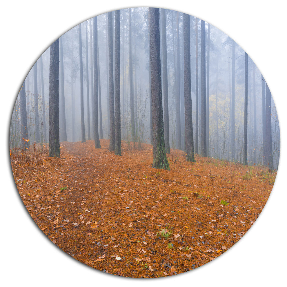 Foggy Dense Forest In Autumn, Modern Forest Disc Metal Wall Art, 11"