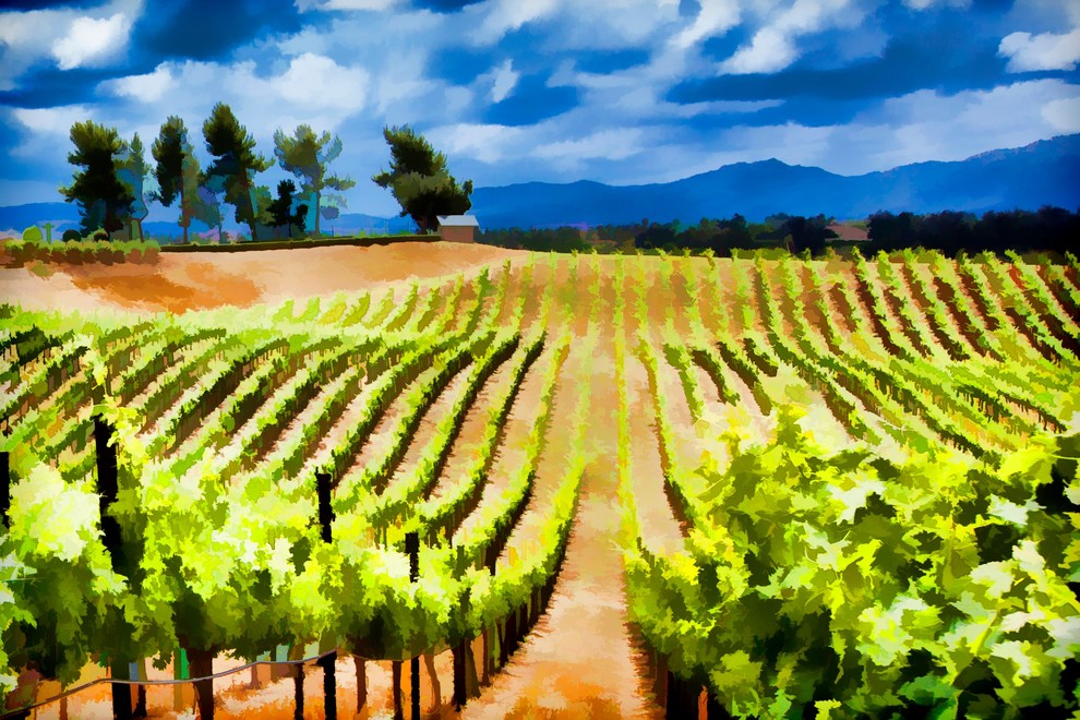 Vineyard Ridge, Canvas Giclee, 36"x24"