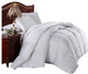 Oversized Hungarian Down Alternative Comforter Insert, White, Twin/Twin Xl