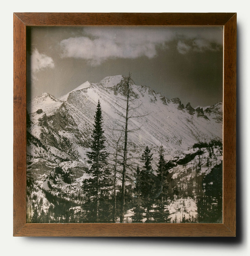Copper Print