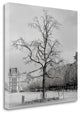 "Paris - 22" By Alan Blaustein,Ready to Hang Giclee Print on Gallery Wrap Canvas