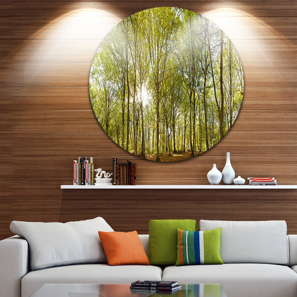 Green Forest Panoramic View, Landscape Photo Disc Metal Wall Art, 11"