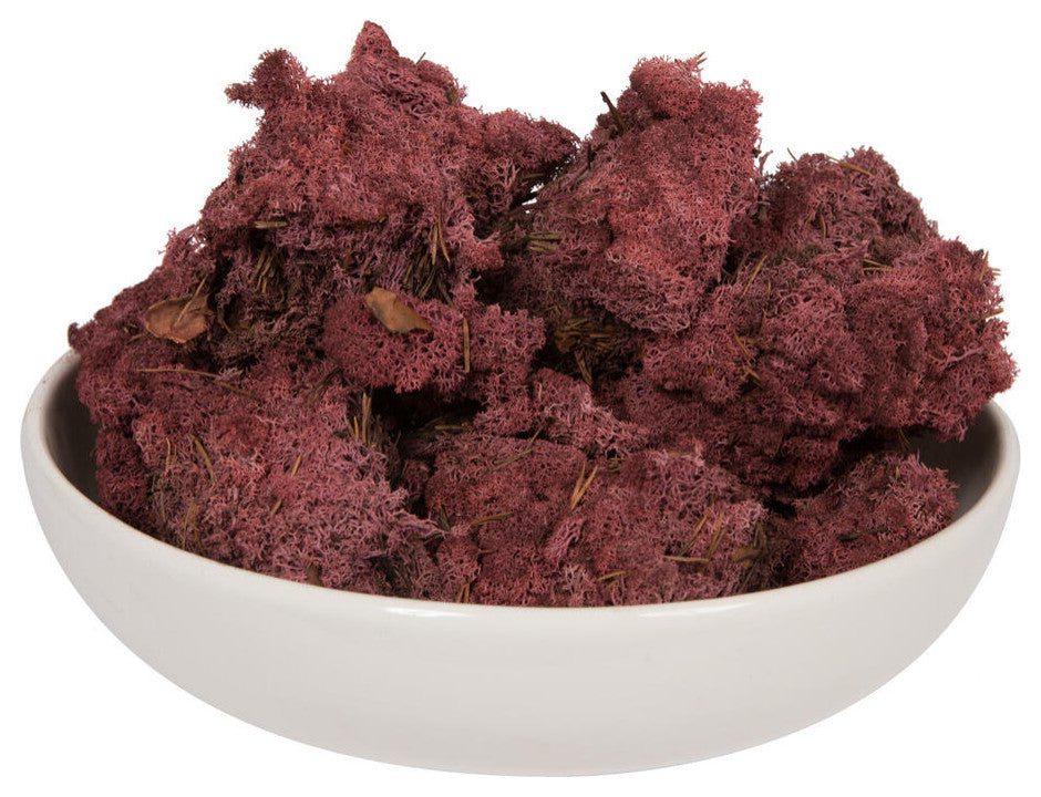 Vickerman Natural Botanicals Reindeer Moss, Burgundy, 9 Lb.