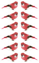 Smoke Spotted Bird Christmas Ornaments, Red and Pink, Set of 12, 3.25"