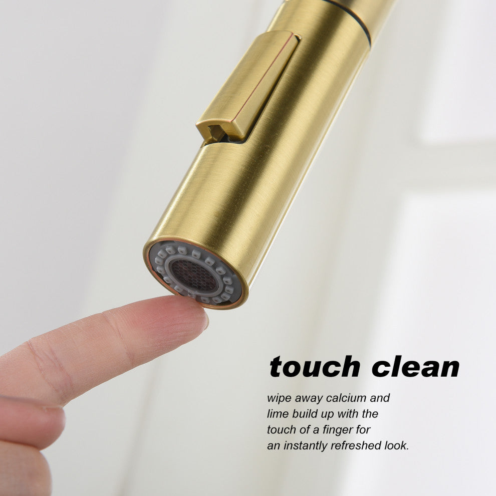 Wellfor Touch Kitchen Sink Faucet With Pull Down Sprayer, Single-Handle, Brushed Gold