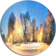 Mariinsky Garden Tough Weather, Landscape Photo Disc Metal Artwork, 38"