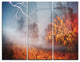 "Lighting in Yellow Autumn Forest" Photo Metal Wall Art, 3 Panels, 36"x28"