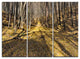 "Majestic Autumn Forest Panorama" Metal Wall Art, 3 Panels, 36"x28"