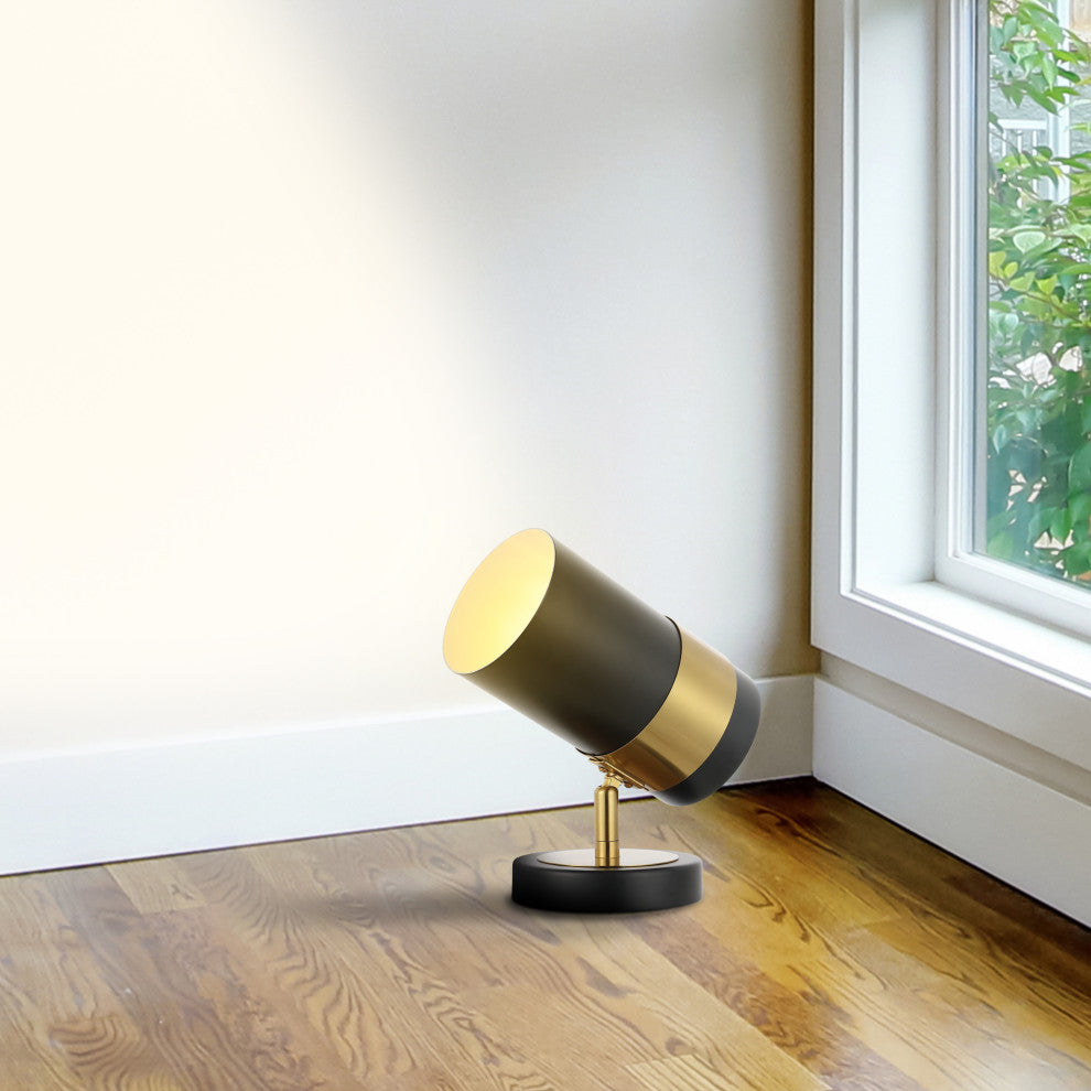 Astra Modern Industrial Iron Adjustable Indoor LED Floor Spotlight