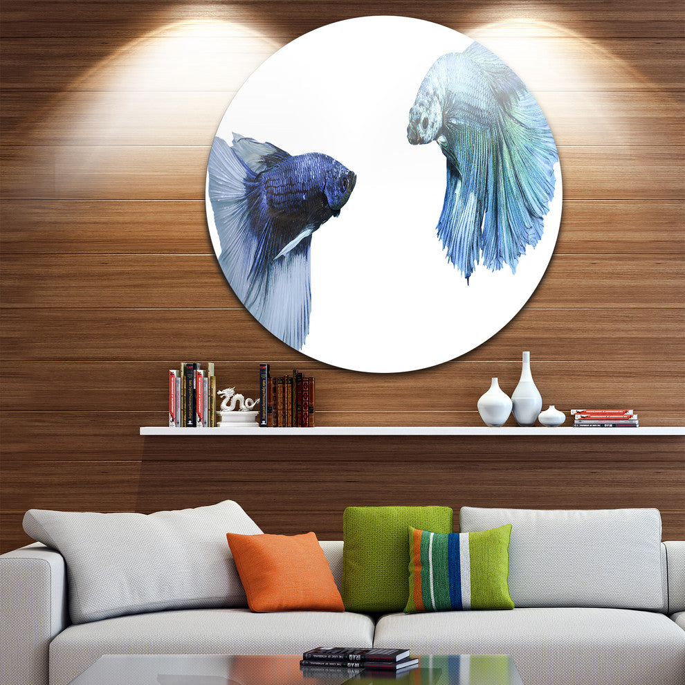 Fighting Fish, Digital Art Animal Large Disc Metal Wall Art, 23"