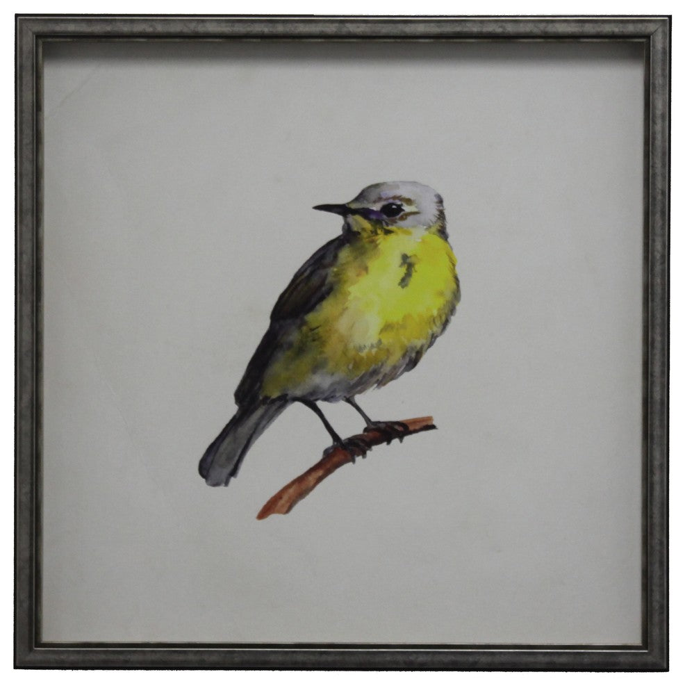 Bright Yellow Bird On Branch, Silver And Black Shadowbox