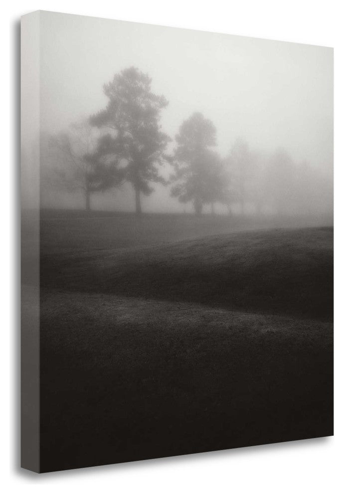 "Fog Tree Study II" By Jamie Cook, Giclee Print on Gallery Wrap Canvas