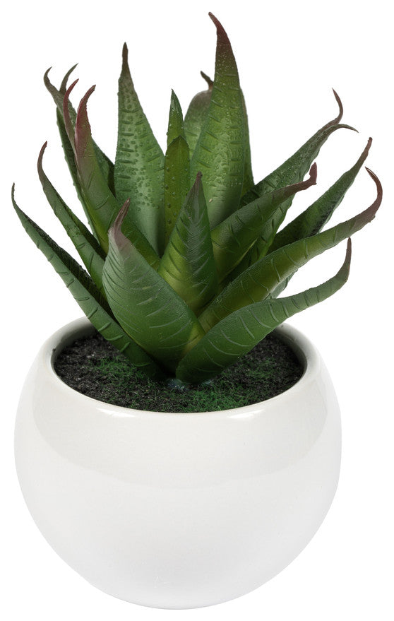 Vickerman 5" Artificial Assorted Potted Succulents