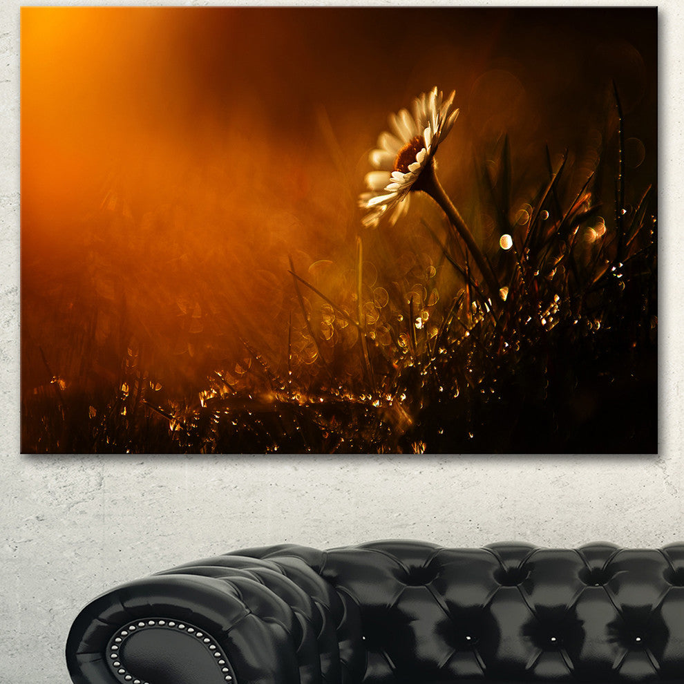 White Wild Flower at Sunset After Rain, Large Floral Canvas Art Print, 60"x28"