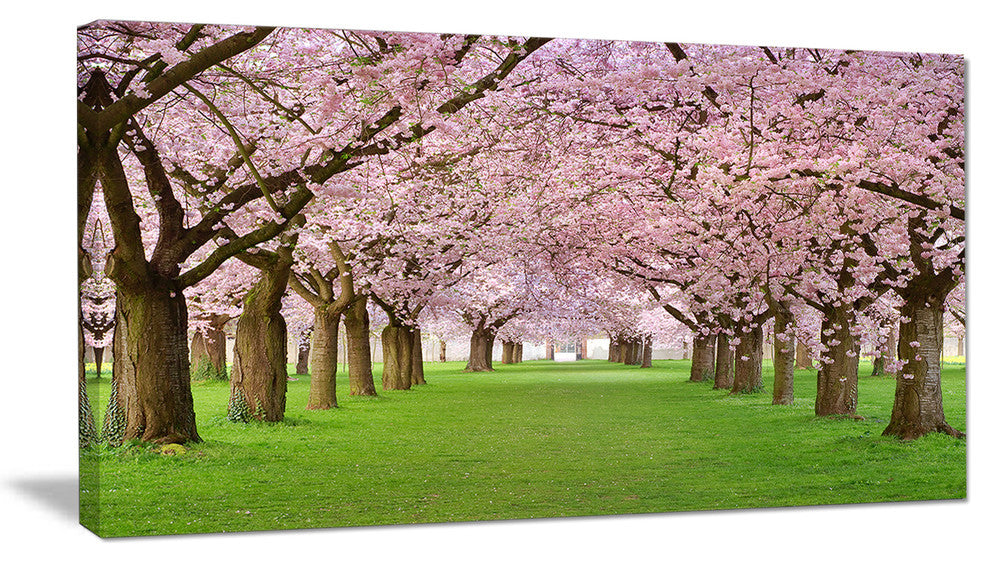 "Stunning Cherry Blossoms Plenitude" Landscape Art Print Canvas, 32"x16"