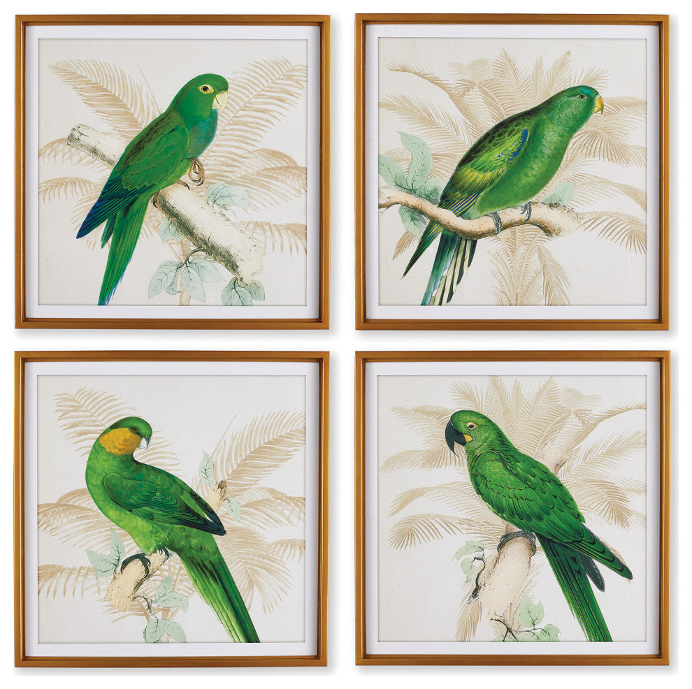 4-Piece Green Parrots Study Set